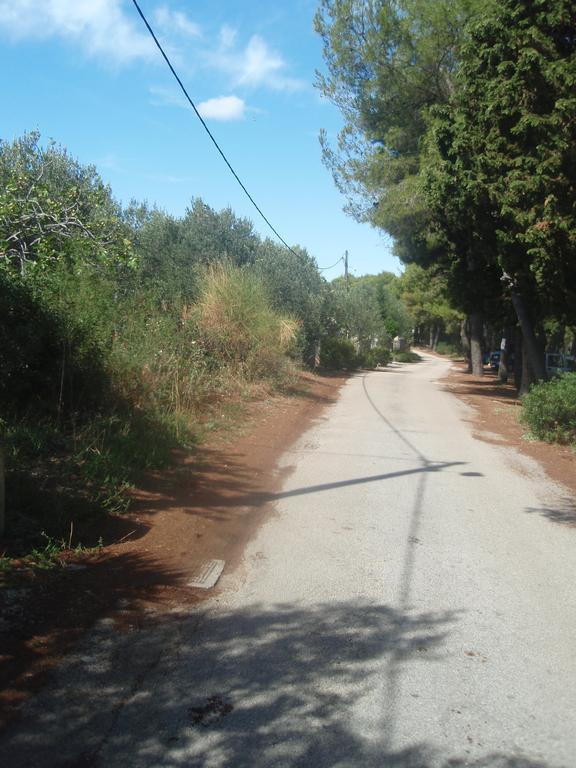 Apartmán Ivankovic *